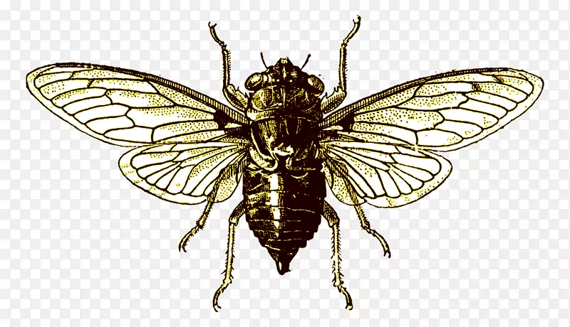 ֪����-������