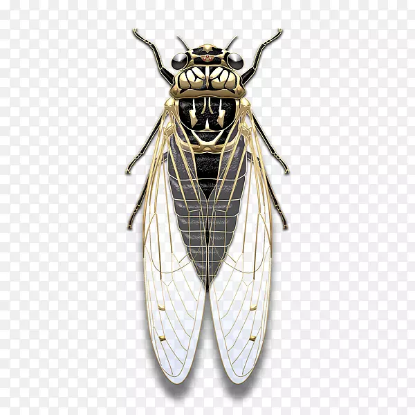 ��������-������