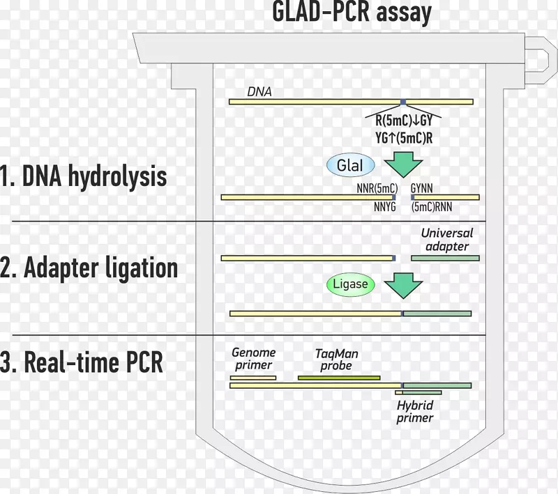 �߽��ļ�����.ֱ��-������