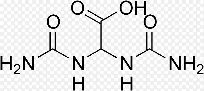 ������ѭ�������ữ����-������