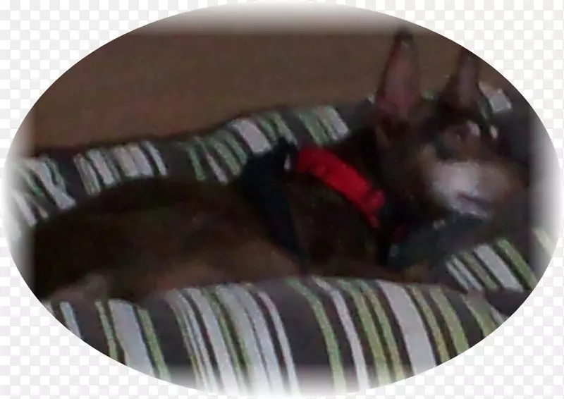 Ȯ�ֱ�Ȯ-������