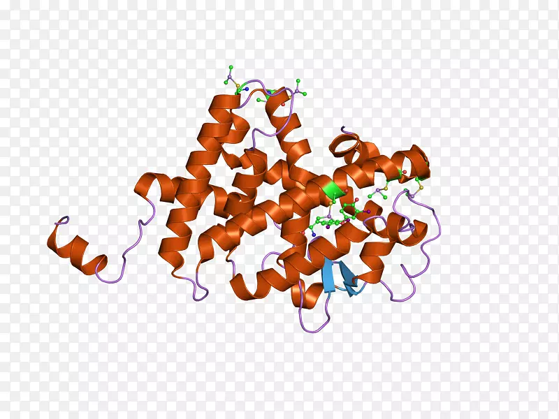 �����ֽʳƷ���Լ���������-������