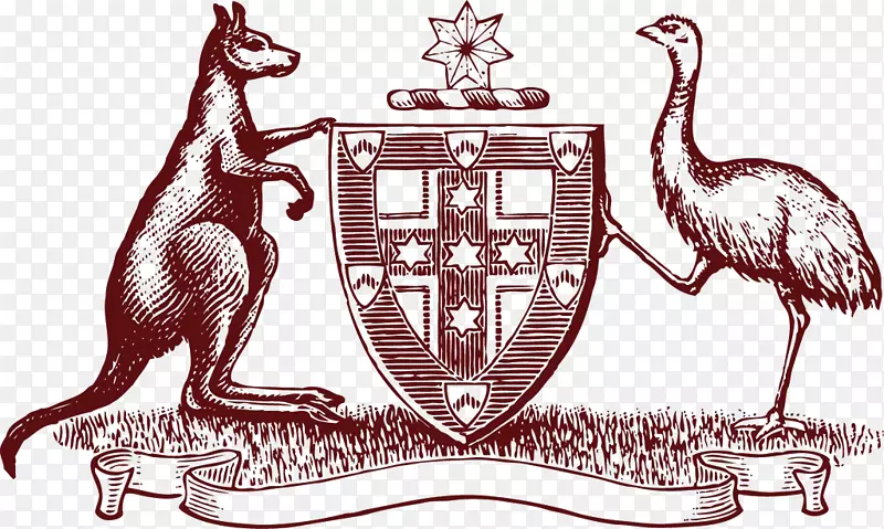 �Ĵ����Ǽ���������-������