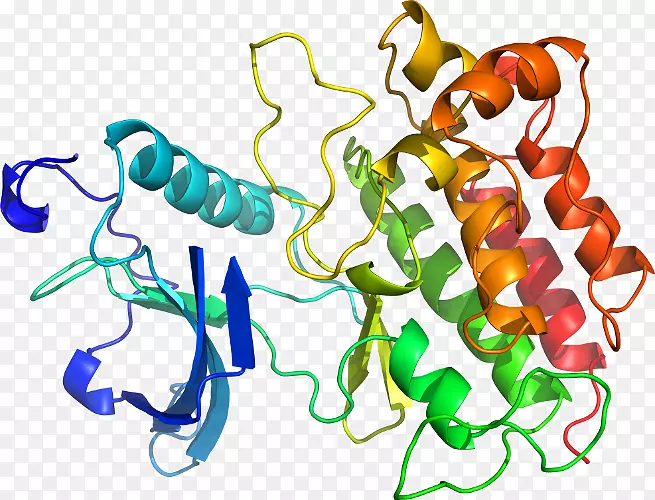 ���������л����߼�������-������