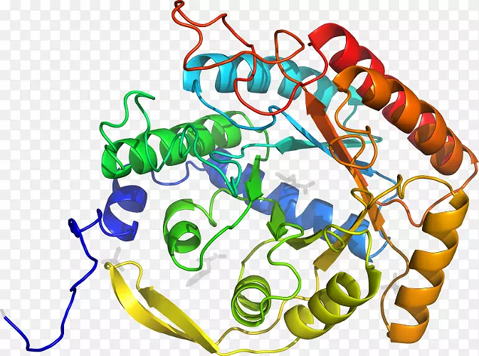 �ߵ������������-������