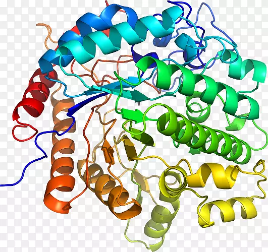 ���������л����߼�������-������