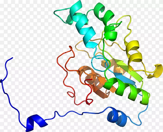 �ߵ������������-������