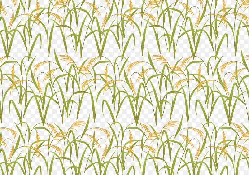 Ҷ�ݻƾ������յ���-������