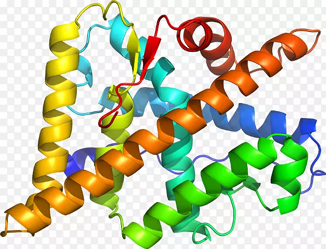 �����鱦���л����������-������