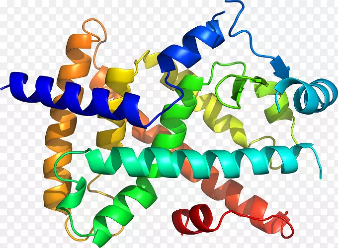 �ߵ������������-������