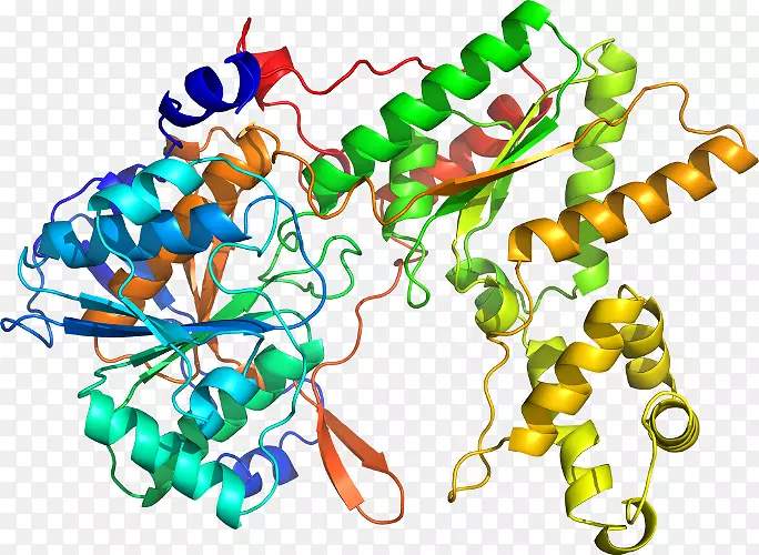 ���������л����߼�������-������