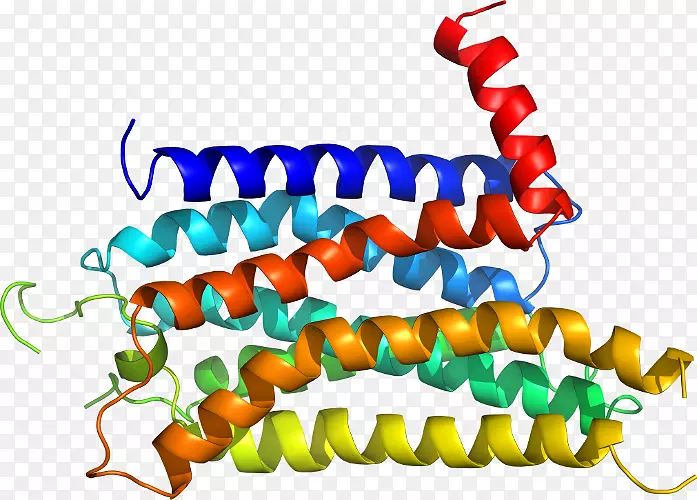 ���������л����߼�������-������