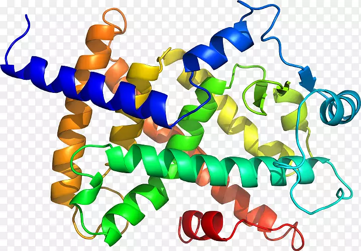 ���������л����߼�������-������