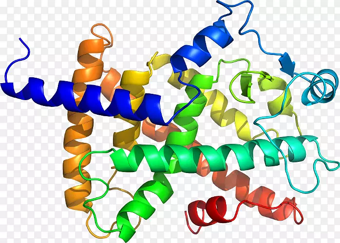 ���������л����߼�������-������