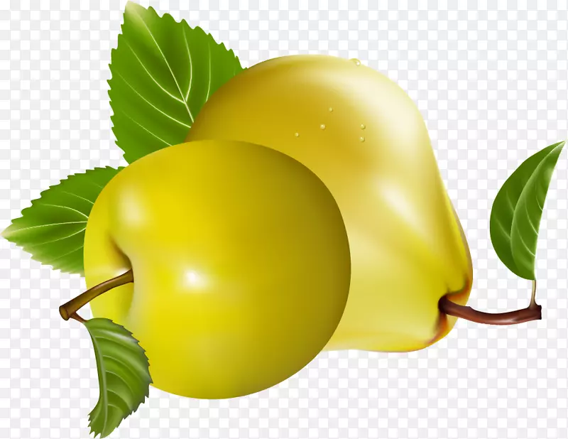 ƻ��ˮ��ʳƷ-������