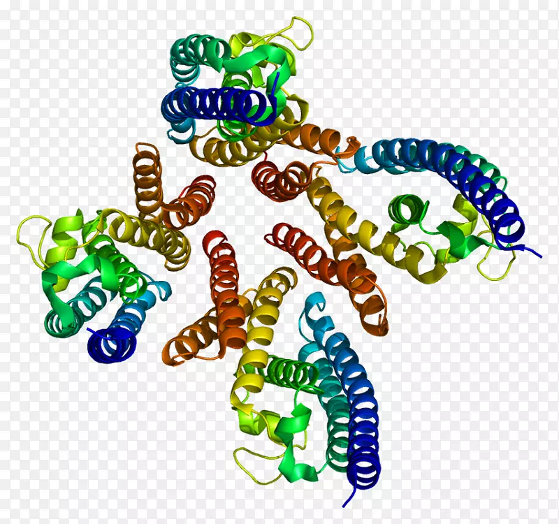 ���������������鱦�߼�������-������