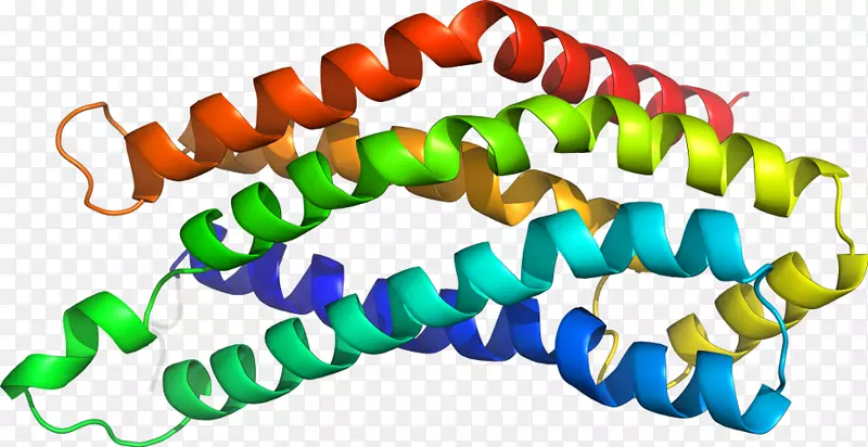 �����������鱦�������鱦����-������