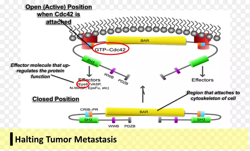 �ߵ�ͼ-��-������