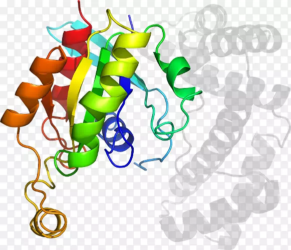 ʳ�����߼�����-��-������