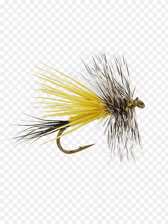 �����˹�Ӭ-������