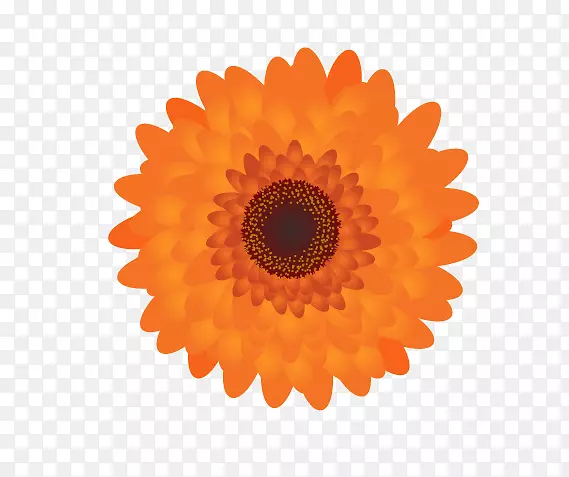 ֽ�µ�A7�µ�A4�µ�a6�ʼǱ�-��Ҷ������ǩ-������