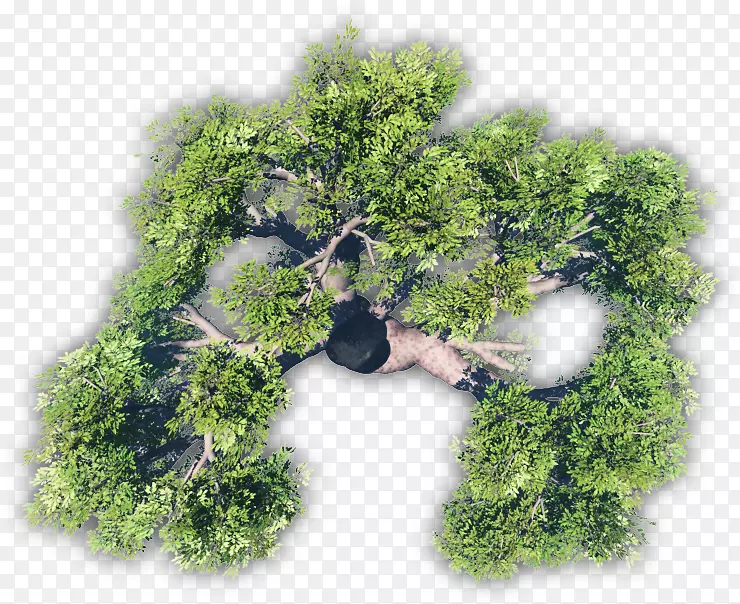 ��-��-������