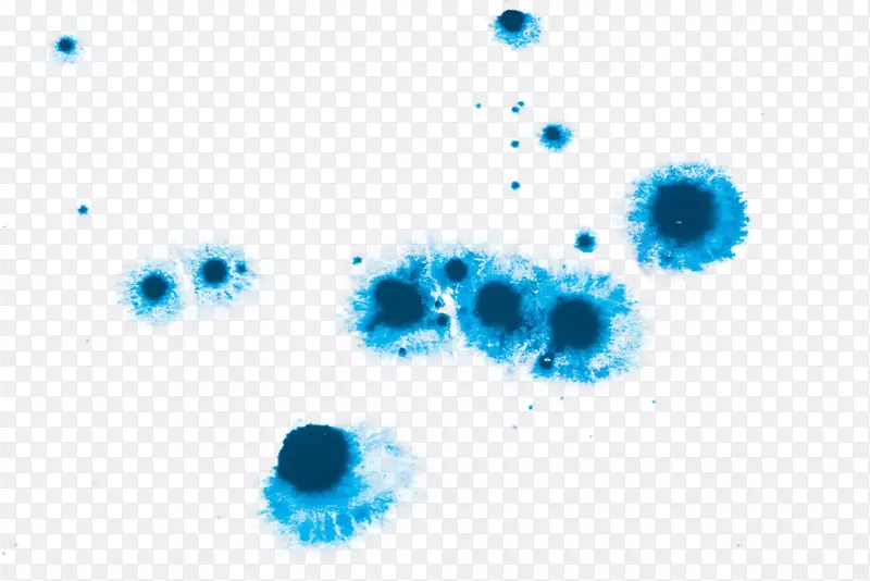 ˮ�ʻ�-��ɫˮ�ʻ�ˮ��-������