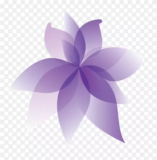 �����ֽ�������-������