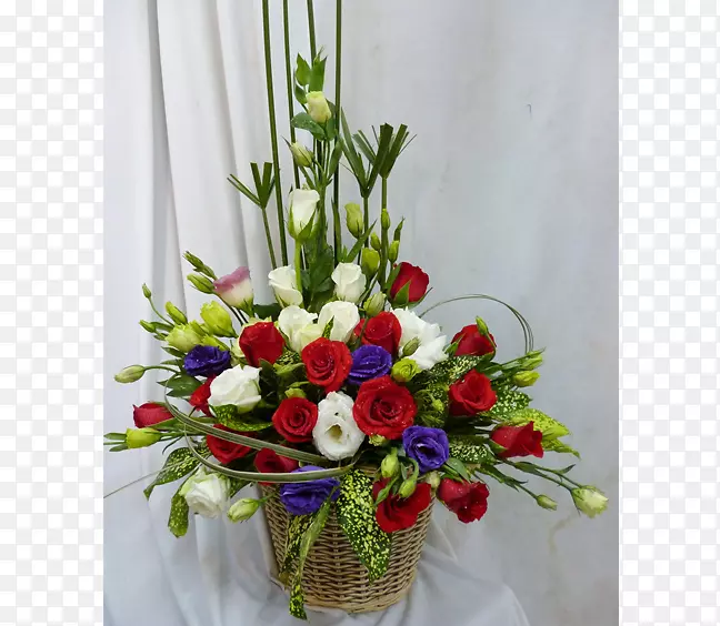 ��������л���ƿ����-����-������