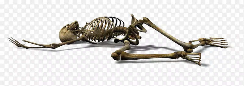 ������������-������