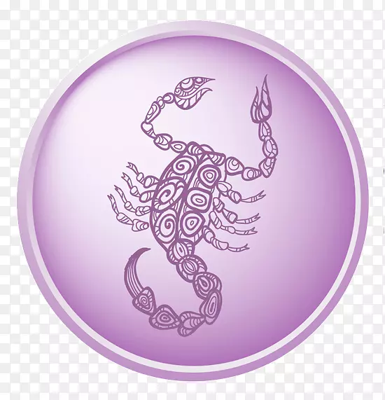 ��Ы���������������-��Ы��ʮ����Ф-������