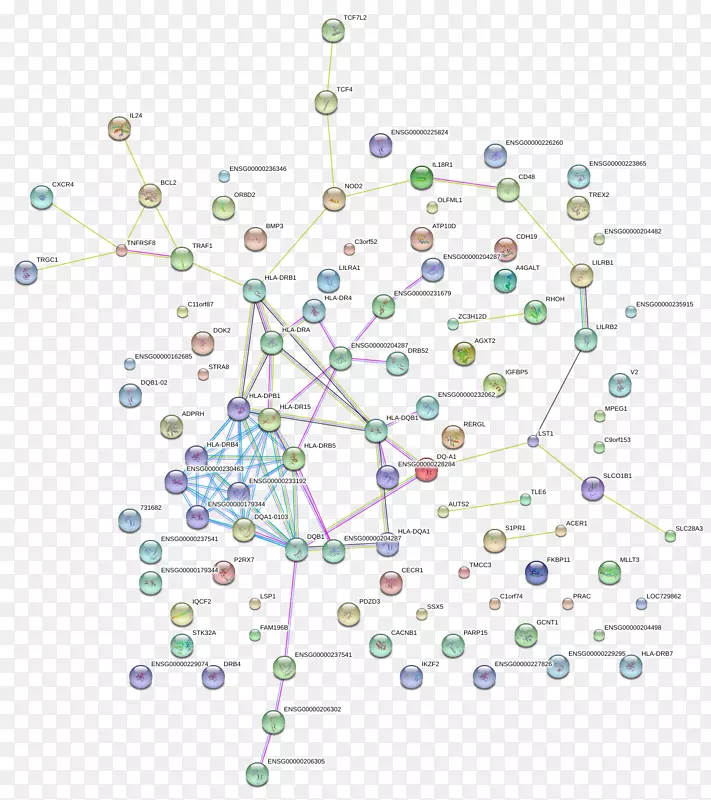 �ߵ�ͼ-��-������