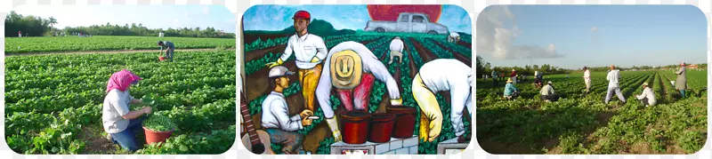 ���в�������-�����ܴ�ѧ��ѧԺ-������