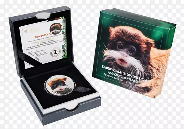 ����-������