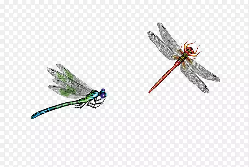 ��������-����-������