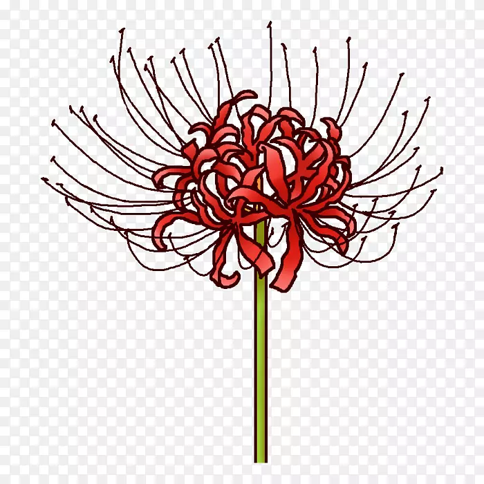 ��������л��ջ�-������