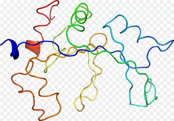 �ߵ������������-������