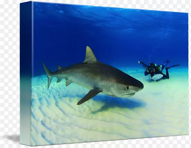 ��������������������̬ϵͳ-ˮ-������