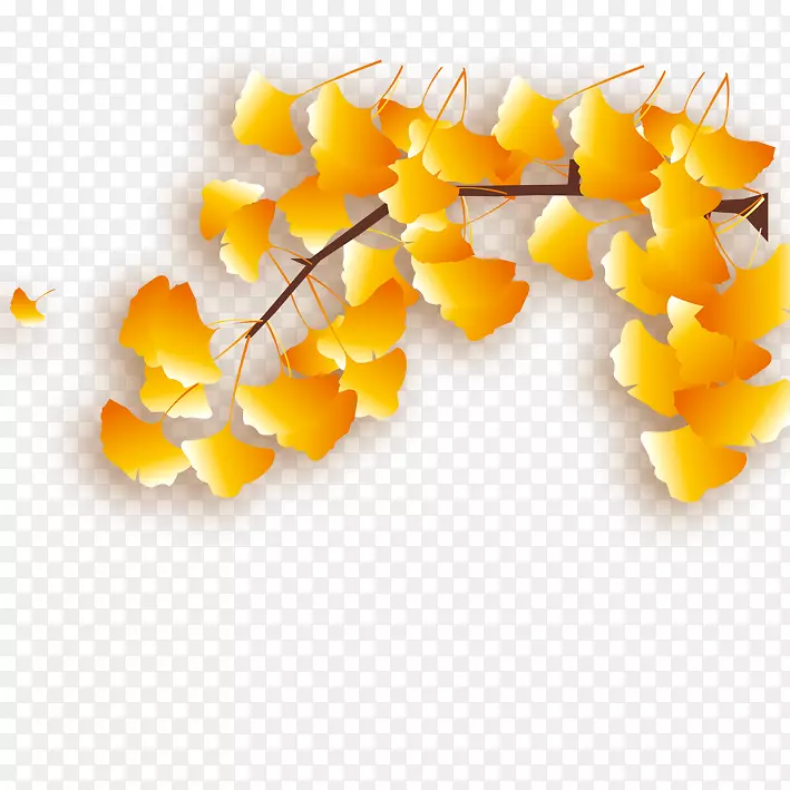 ��Ҷ���ʦ-����Ҷ-������