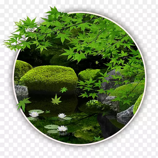 ��׿���������йȸ��������ֻ�-������