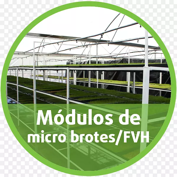 ����-������