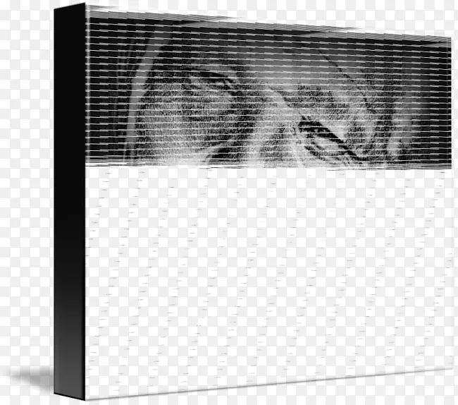 ��ɫ�����κ�ɫm����-����������-������