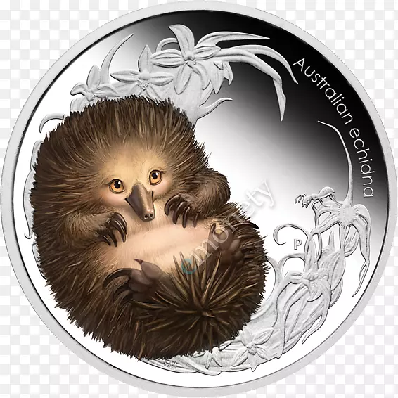 Ѽ������˹���ɶ�๱ڻ���-������