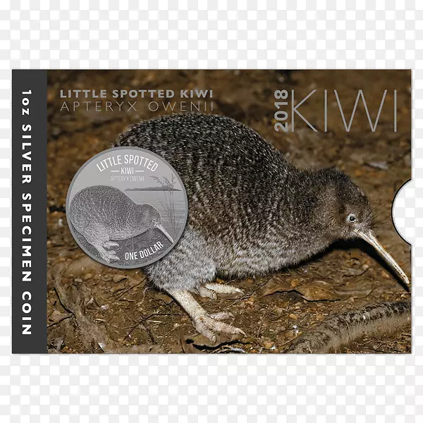 ������С�ߵ�⨺������Ҵ�ߵ�⨺�����-������