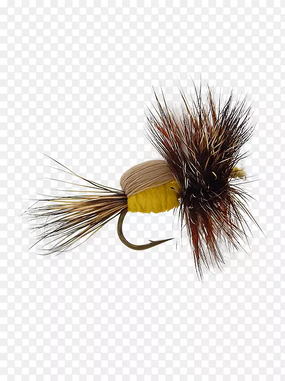 �˹��ɺ�Ӭ�����Ӭ-������