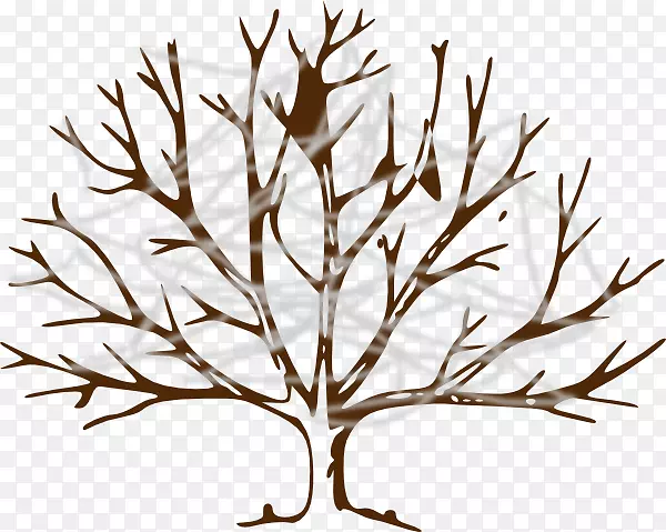 �滭��֦������-��-������