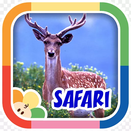 ��׿�ȸ���ϷӦ���̵�-������