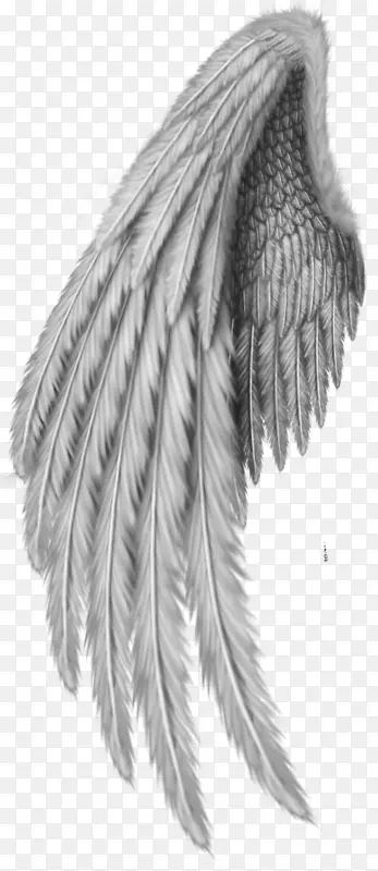 �滭������.��ë-������