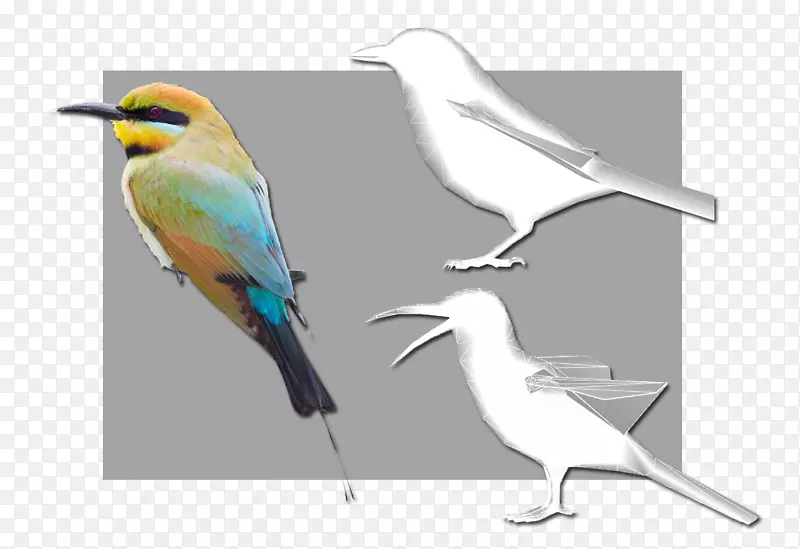 ��ද����ë-������