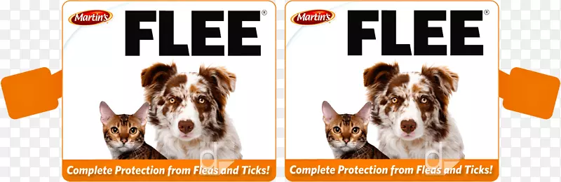 ����ֳƷ�Ʊ�������-��-������